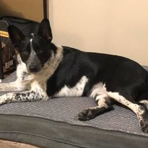 Meet your Posher, Cherri